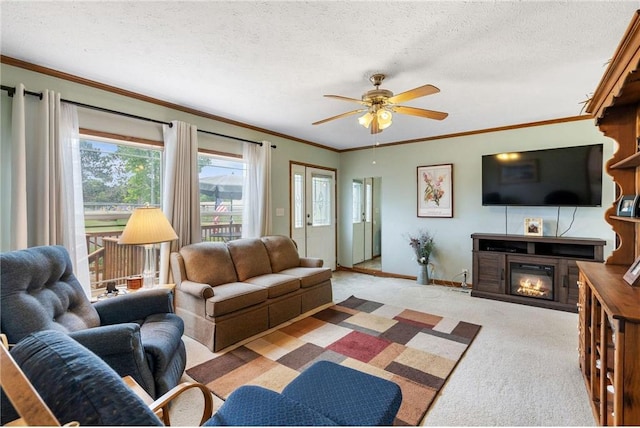 505 Lake Ave, Frederic, WI 54837 - living room with crown molding, a ceiling fan, light colored carpet, a glass covered fireplace, and baseboards