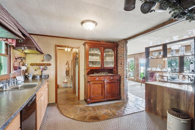 950 N Dousman Rd, Summit, WI 53066 - kitchen featuring a sink, black dishwasher, light carpet, glass insert cabinets, and crown molding