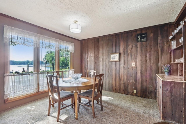 950 N Dousman Rd, Summit, WI 53066 - dining space with carpet, wooden walls, a textured ceiling, and a water view