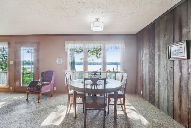 950 N Dousman Rd, Summit, WI 53066 - dining room featuring plenty of natural light, carpet flooring, wood walls, a textured ceiling, and a water view