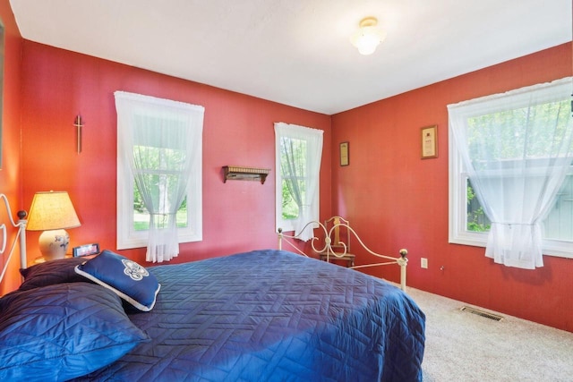 950 N Dousman Rd, Summit, WI 53066 - view of carpeted bedroom