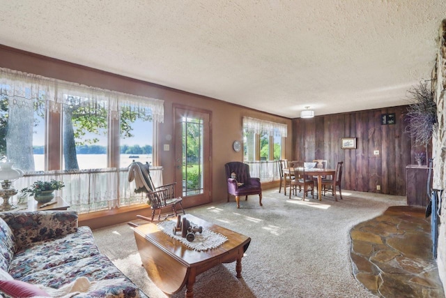 950 N Dousman Rd, Summit, WI 53066 - carpeted living room with a textured ceiling, wood walls, and ornamental molding