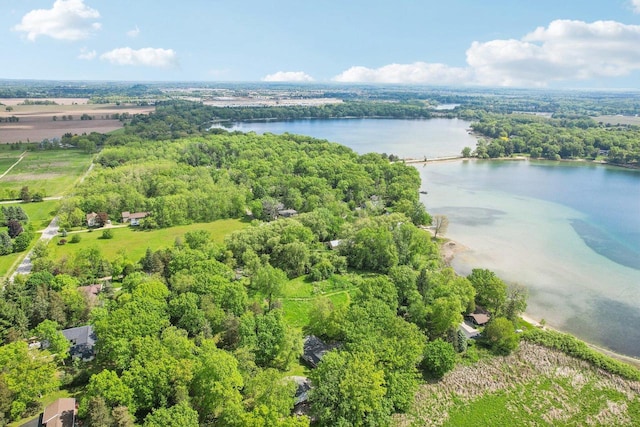 950 N Dousman Rd, Summit, WI 53066 - aerial view of a nearby body of water and a heavily wooded area