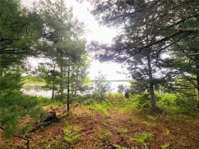 10B 1 1/4 St, Turtle Lake, WI 54889
