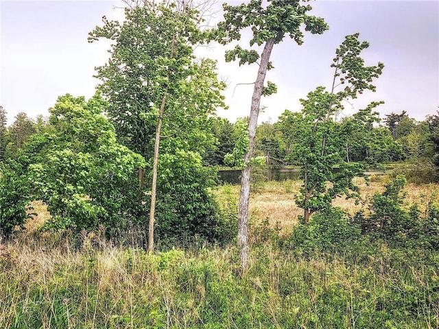 10B 1 1/4 St, Turtle Lake, WI 54889