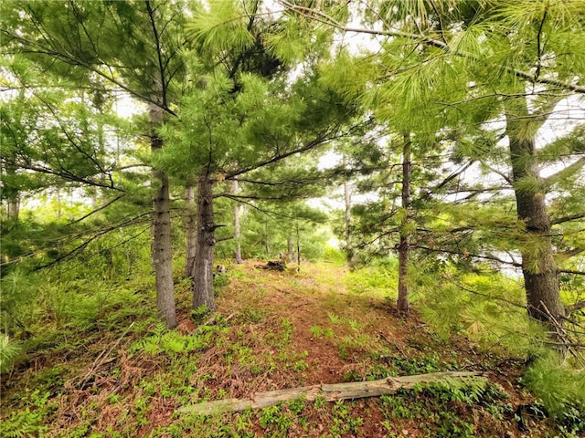 10B 1 1/4 St, Turtle Lake, WI 54889