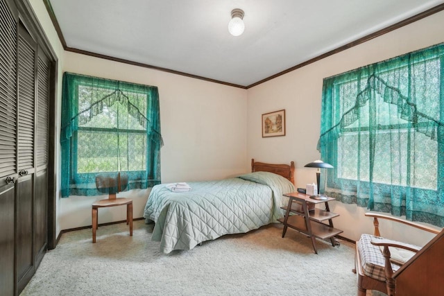 954 N Dousman Rd, Summit, WI 53066 - bedroom with ornamental molding, a closet, and carpet