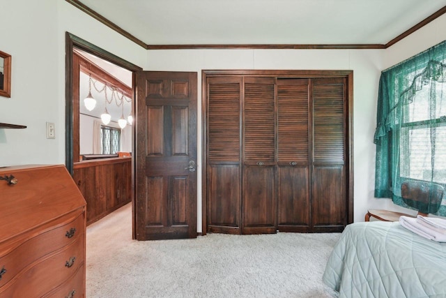 954 N Dousman Rd, Summit, WI 53066 - bedroom with light carpet, crown molding, and a closet