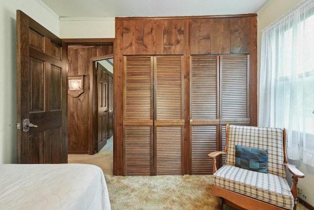 954 N Dousman Rd, Summit, WI 53066 - bedroom with light colored carpet, a closet, and crown molding