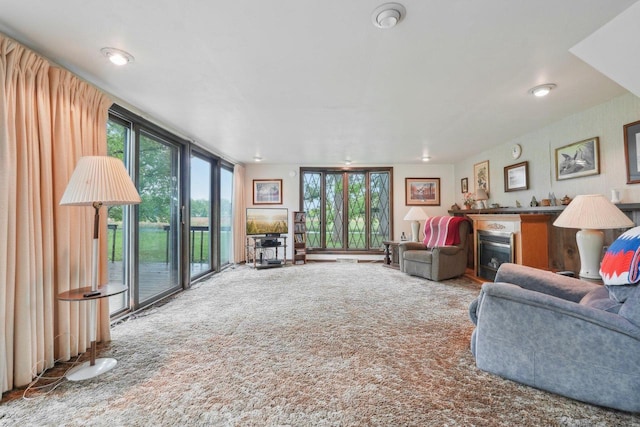 954 N Dousman Rd, Summit, WI 53066 - living area featuring a glass covered fireplace