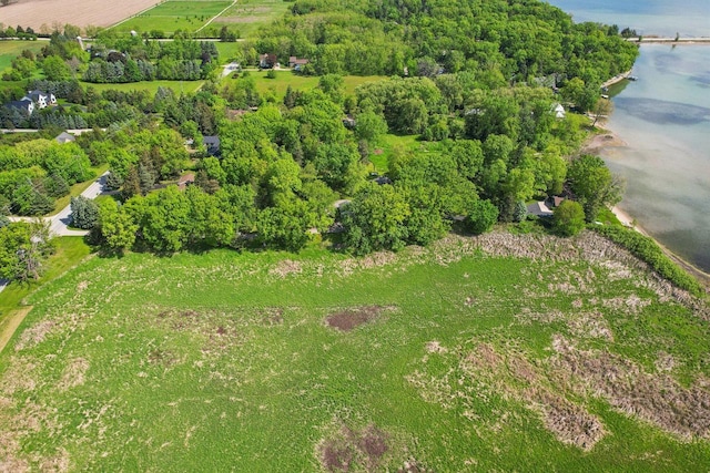 954 N Dousman Rd, Summit, WI 53066 - aerial view of property and surrounding area with a large body of water