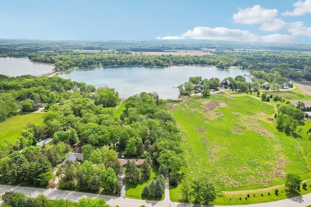 954 N Dousman Rd, Summit, WI 53066 - drone / aerial view of a large body of water