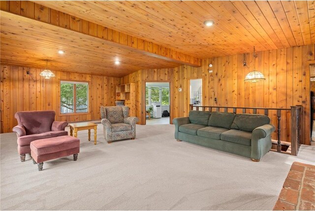 632 E 2nd St, New Richmond, WI 54017 - living room featuring wood ceiling, carpet, and wooden walls