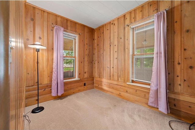 632 E 2nd St, New Richmond, WI 54017 - empty room featuring carpet flooring and wooden walls