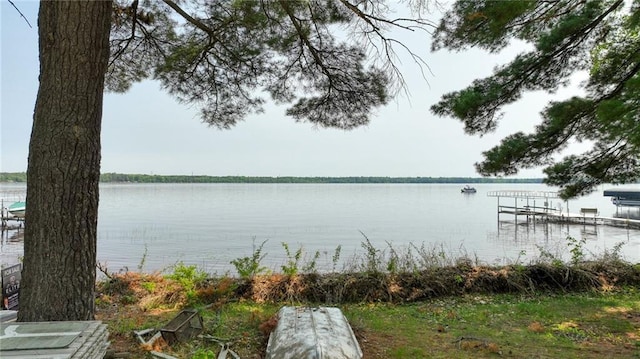 5922 W Shore Ln, Stone Lake, WI 54876 - dock featuring a water view