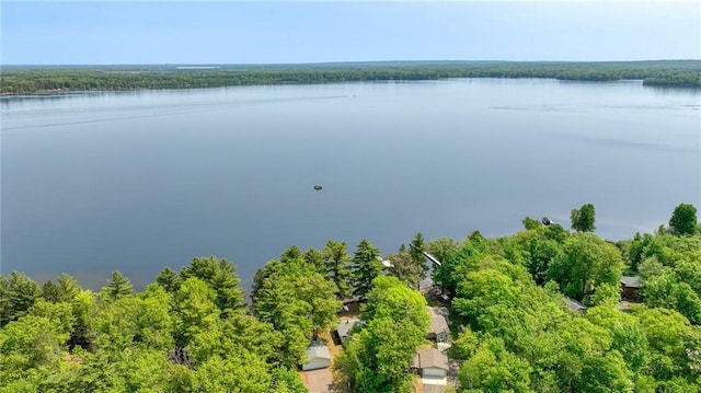5922 W Shore Ln, Stone Lake, WI 54876 - water view featuring a heavily wooded area