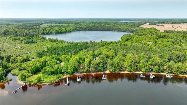 5922 W Shore Ln, Stone Lake, WI 54876 - aerial view of a forest and a large body of water