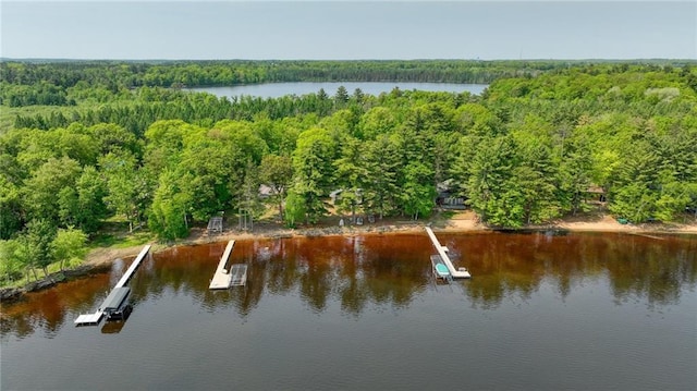 5922 W Shore Ln, Stone Lake, WI 54876 - bird's eye view of a forest and a nearby body of water