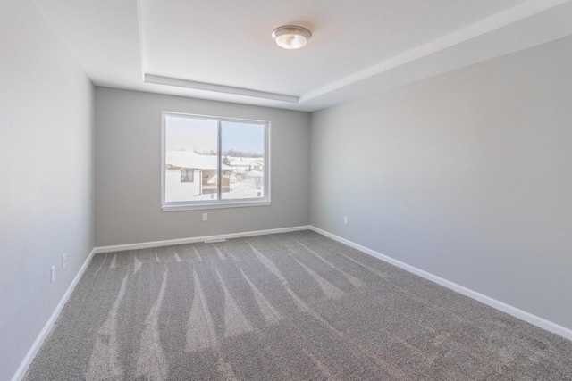 6308 Perch Dr, Weston, WI 54476 - spare room featuring carpet floors and a raised ceiling