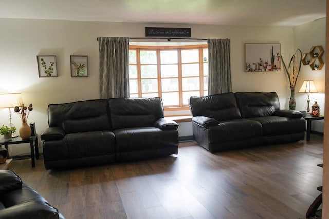 3867 S Massachusetts Ave, Milwaukee, WI 53220 - living room featuring wood finished floors