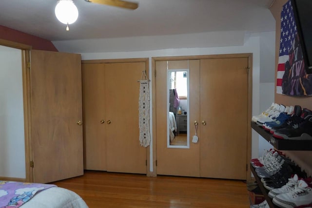 3867 S Massachusetts Ave, Milwaukee, WI 53220 - bedroom featuring two closets and wood finished floors