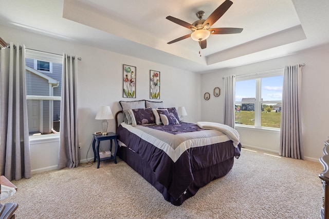 35209 Winnebago Ct, Summit, WI 53066 - bedroom with a raised ceiling, baseboards, and carpet flooring