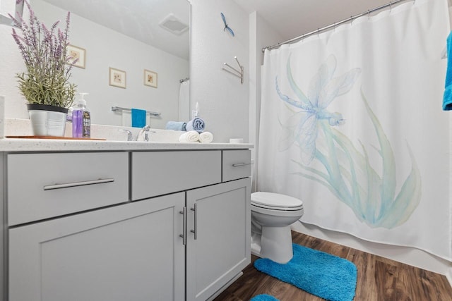 35209 Winnebago Ct, Summit, WI 53066 - full bathroom featuring vanity, toilet, wood finished floors, and a shower with shower curtain