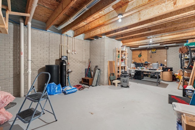 35209 Winnebago Ct, Summit, WI 53066 - unfinished basement with a water softener, a workshop area, and brick wall