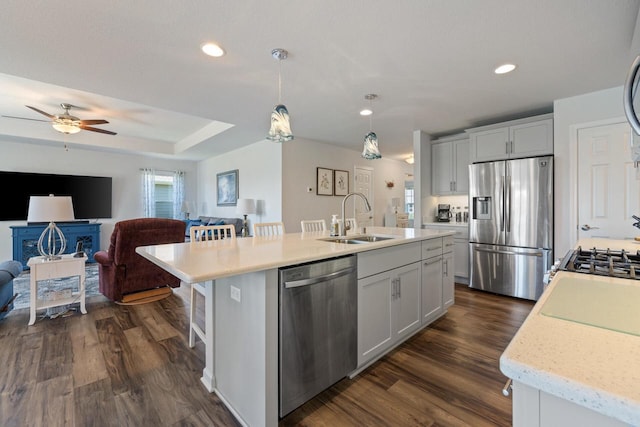 35209 Winnebago Ct, Summit, WI 53066 - kitchen featuring appliances with stainless steel finishes, a sink, open floor plan, dark wood-style floors, and an island with sink