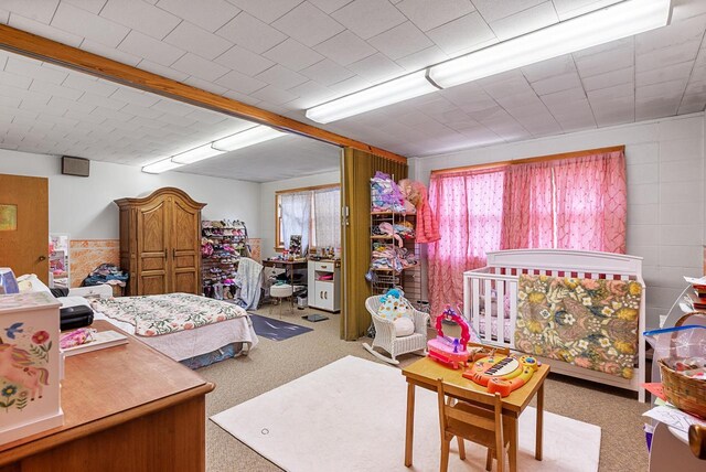 228 Forest St, Campbellsport, WI 53010 - bedroom featuring carpet floors