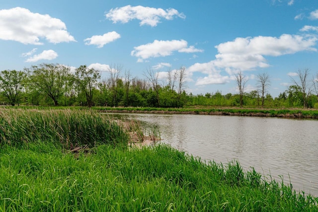 N19W22081 Fox View Ct Unit 2B, Waukesha, WI 53186 - water view