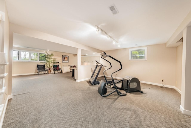 N19W22081 Fox View Ct Unit 2B, Waukesha, WI 53186 - exercise area featuring rail lighting, baseboards, and plenty of natural light