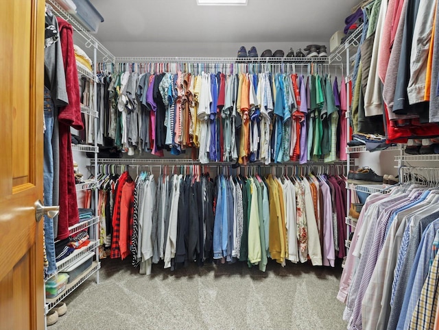 5605 N Mcnichols Dr, Milton, WI 53563 - spacious closet with carpet floors
