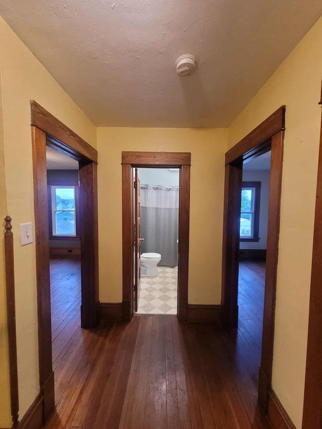 324 N Pine St, Reedsburg, WI 53959 - corridor with healthy amount of natural light, dark wood-type flooring, baseboards, and a textured ceiling