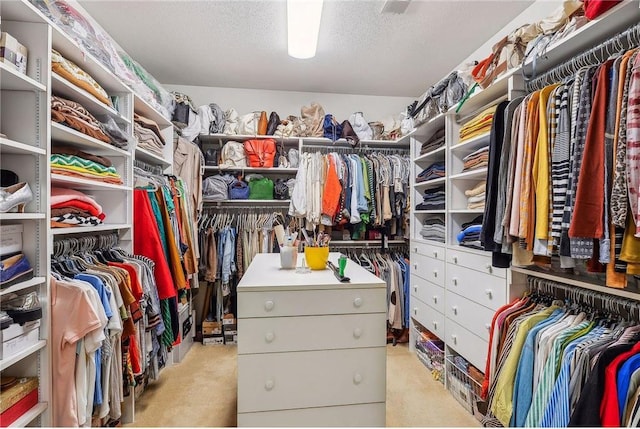 689 Brookside Ln, Mendota Heights, MN 55118 - walk in closet featuring light colored carpet