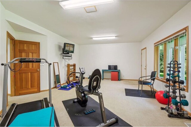 689 Brookside Ln, Mendota Heights, MN 55118 - workout room with carpet flooring and baseboards