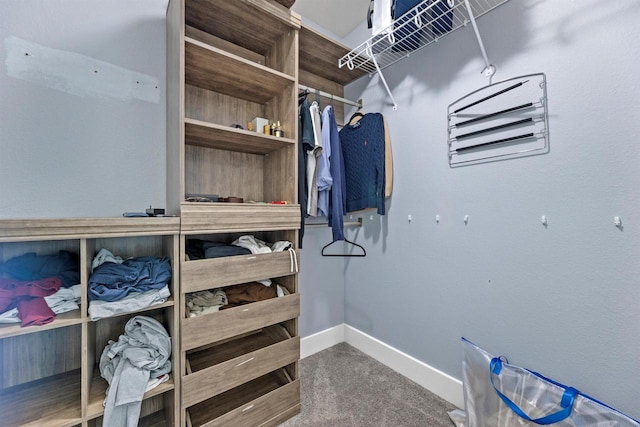 19750 Heron Pass, Brookfield, WI 53045 - spacious closet with carpet floors