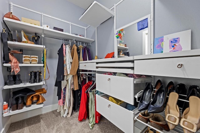 19750 Heron Pass, Brookfield, WI 53045 - spacious closet with carpet flooring