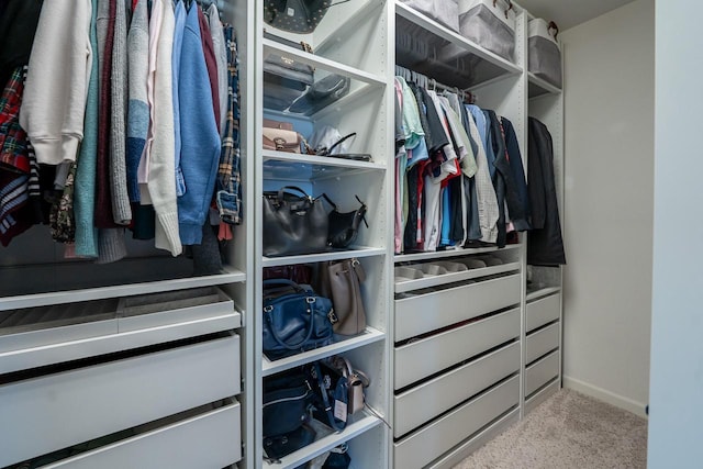 7236 N Beau Ave, Milwaukee, WI 53224 - walk in closet featuring carpet flooring