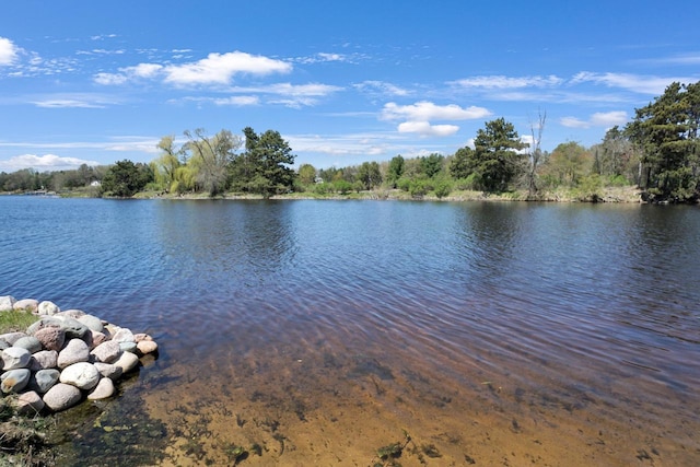 1014 Long Bow Ct, Nekoosa, WI 54457 - water view