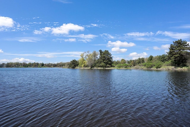 1014 Long Bow Ct, Nekoosa, WI 54457 - water view
