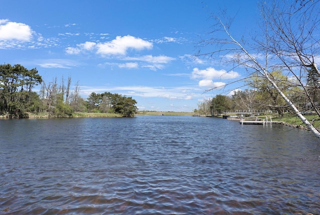 1014 Long Bow Ct, Nekoosa, WI 54457 - water view