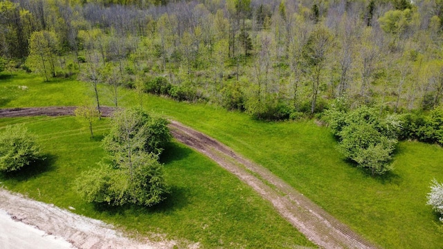 LT11 Rawley Ct Unit Blk4, Two Rivers, WI 54241