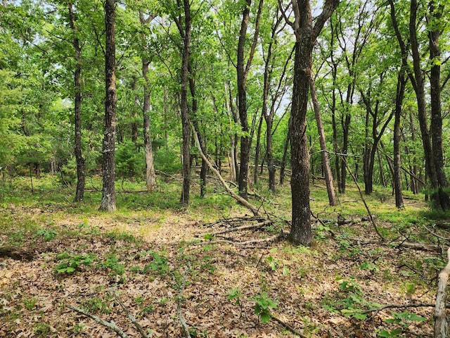 LOT10 Jargon Ave, Sparta, WI 54656