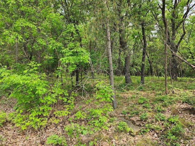 LOT10 Jargon Ave, Sparta, WI 54656