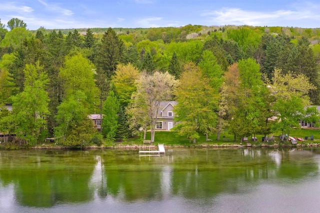 3155 W Lake Helen Dr, Rosholt, WI 54473 - water view with a forest