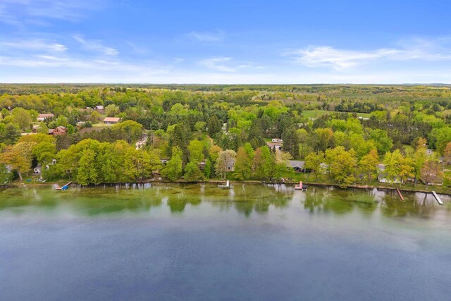 3155 W Lake Helen Dr, Rosholt, WI 54473 - bird's eye view of a forest and a large body of water