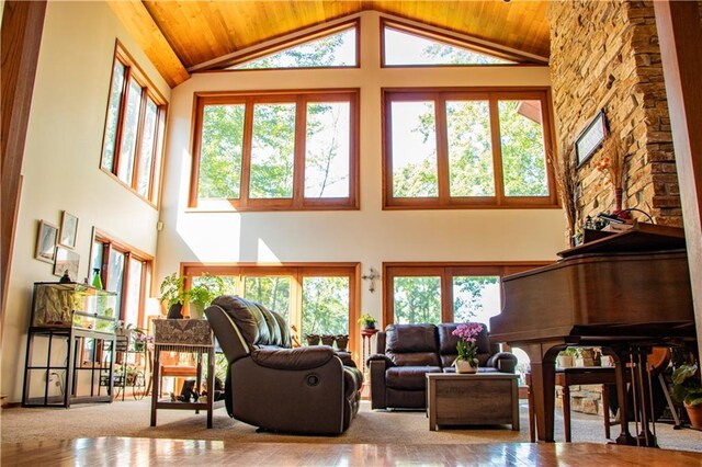 18845 64th Ave, Chippewa Falls, WI 54729 - living room featuring high vaulted ceiling, plenty of natural light, and wood ceiling