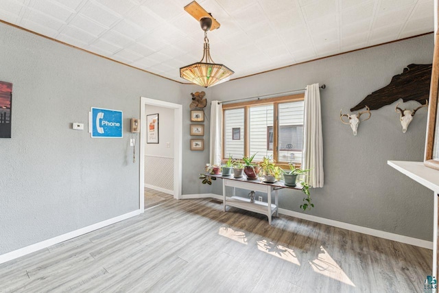708 2nd Ave W, Ashland, WI 54806 - dining space with wood finished floors, baseboards, and a textured wall