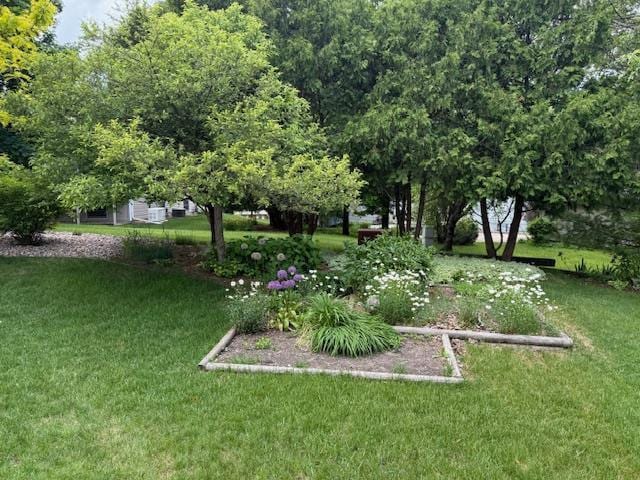 417 Raintree Dr, Fort Atkinson, WI 53538 - view of green lawn